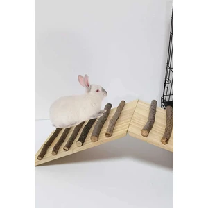 Tavşanlar Ahşap Köprü Kobay Tırmanma Merdiveni Doğal Rampa Merdiveni Sıçan Oyuncak Kafes Habitat