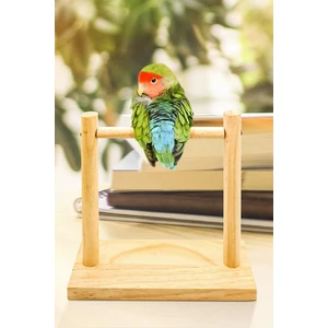 Papağan & Muhabbet Kuşu Eğitimi Için H Stand, Ahşap Oyun Standı Taşınabilir Eğitim Oyun Alanı