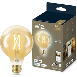 50W Sarı-Beyaz Ambiyans E27 Akıllı Filament Ampul (G95)