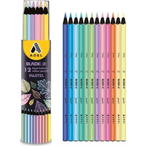 Bl Pastel R. Boya Kalemi 12'li Tüp