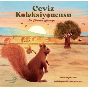 Paraşüt Kitap Ceviz Koleksiyoncusu - Leyla Aslan