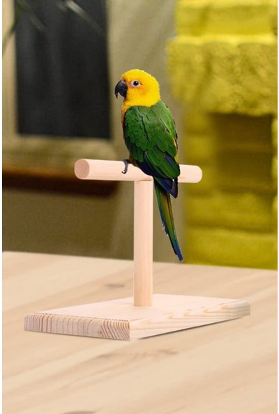 Alyones Kuş Kafesi Standı Papağan Levrek Eğitim