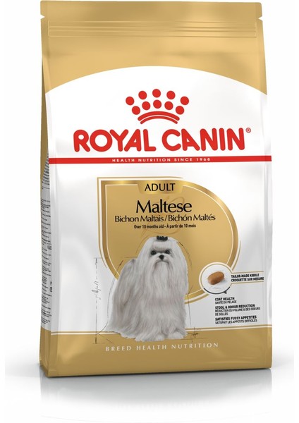 Maltese Adult 1,5 kg