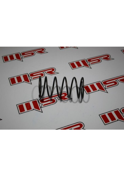 Tvs Scooty Pep 75-90 cc Arka Varyatör Yayı A