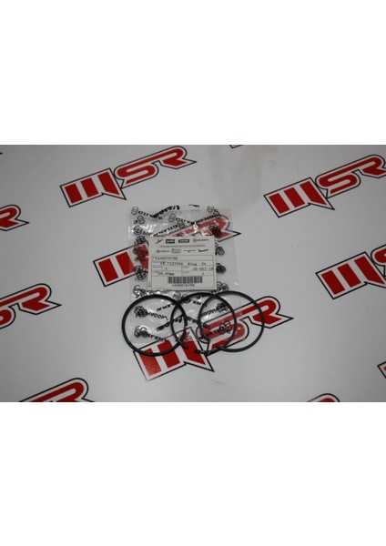 Pıaggo 58 mm Segman Tk