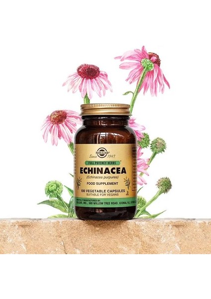 Echinacea 520 Mg 100 Kapsül 2 Adet fiyatları