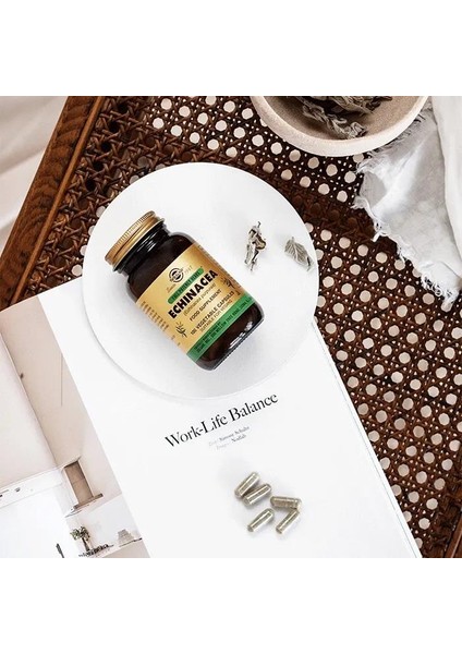 Echinacea 520 Mg 100 Kapsül 2 Adet modelleri