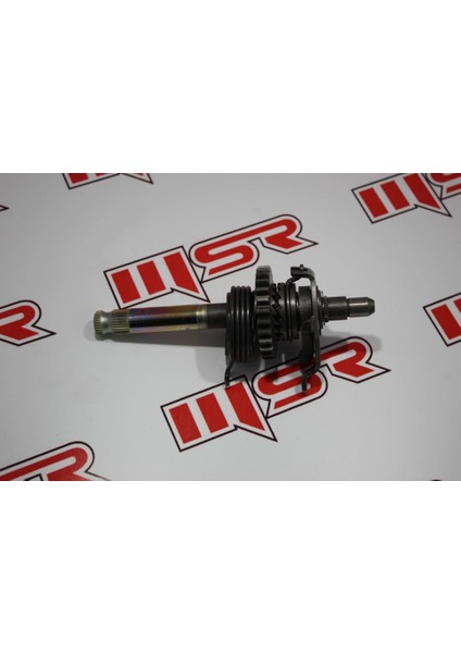 Asya Gy 200 Tay Vites Mili