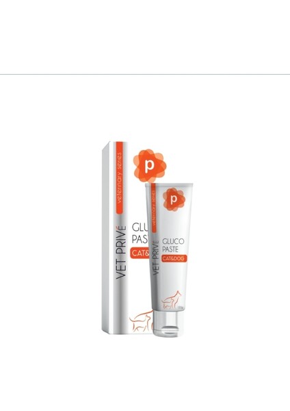 Kedi ve Köpekler Için Eklem Desteği Pasta 100G