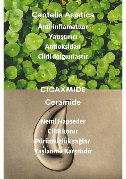 Cıca x Mide Serum Centella Asiatica ve Seramid Özlü Serum 50 ml fırsatları