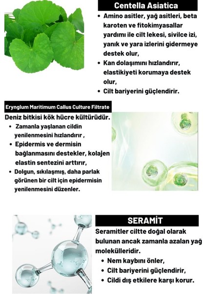 Cıca x Mide Facial Cream Centella Asiatica ve Seramid Özlü Aydınlatıcı ve Bakımı Yüz Kremi 75 ml