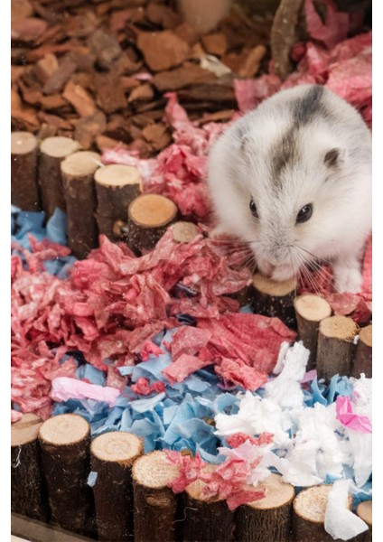 Hamster Asma Köprü, Fare Gerbiller ve Diğer Küçük Hayvanlar Için Uzun Tırmanma Merdiveni indirimleri