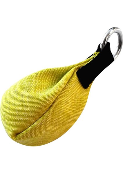 Performans 300G/10.58 Oz Paslanmaz Çelik Atış Ağırlık Torbası Ağaç Meyve Yeşili (Yurt Dışından)