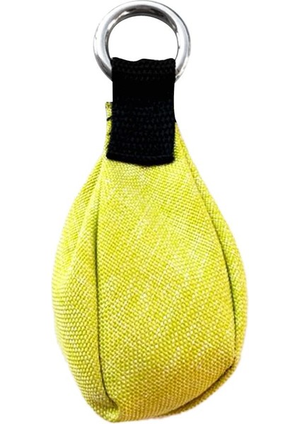 Performans 300G/10.58 Oz Paslanmaz Çelik Atış Ağırlık Torbası Ağaç Meyve Yeşili (Yurt Dışından) fiyatları