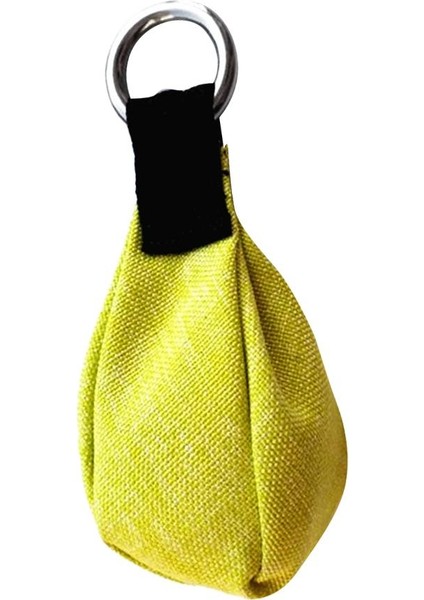 Performans 300G/10.58 Oz Paslanmaz Çelik Atış Ağırlık Torbası Ağaç Meyve Yeşili (Yurt Dışından) fırsatları