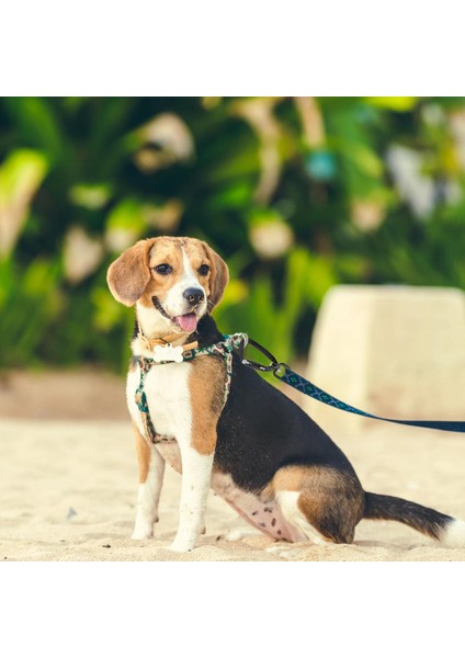 2pcs 360 º Dönen Döner Yürüyüş Karabiner Klip Asma Anahtarlık Tokası Kanca (Yurt Dışından) fırsatları