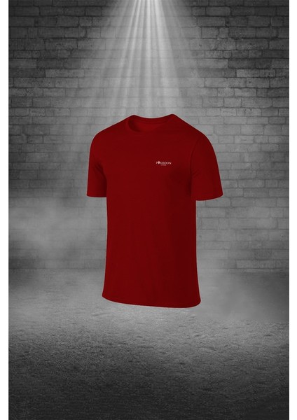 Erkek Bordo Dri-Fit Kumaş Cepli Baskısız Bisiklet Yaka Yürüyüş Için Tişört Şort Alt Üst Ikili Takım S-3xl fiyatları