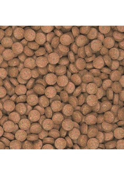 Supervit B 2kg Kova Tablet Yem Yeni fiyatları