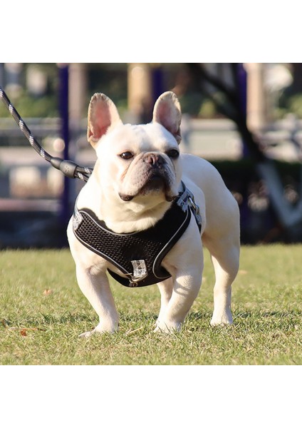 Göğüs Kayışı Yansıtıcı Patlama Geçirmez Polyester Evcil Köpek Çekiş Ipi Yürüme Için (Yurt Dışından) modelleri