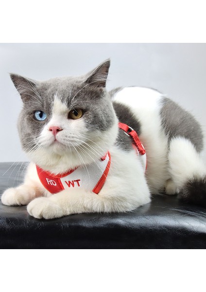 Oufeitongh Pet Göğüs Kayışları Renk Blok Kaçış Geçirmez Dış Mekan Kablo Demeti Çekiş Ipi Tasma Kedi Köpek Sarf Malzemeleri Yürüyüş Için (Yurt Dışından)