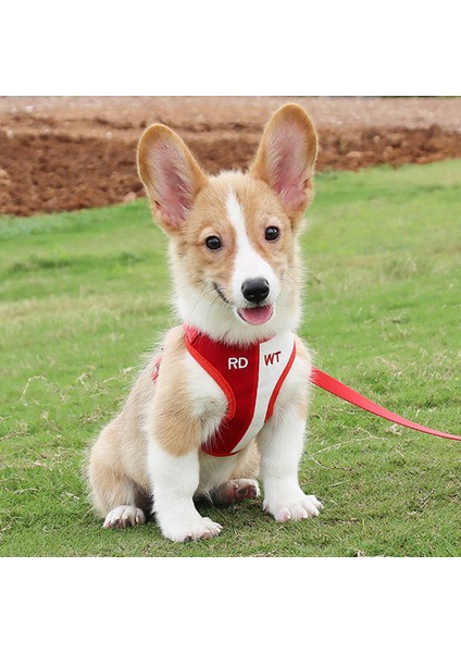 Oufeitongh Pet Göğüs Kayışları Renk Blok Kaçış Geçirmez Dış Mekan Kablo Demeti Çekiş Ipi Tasma Kedi Köpek Sarf Malzemeleri Yürüyüş Için (Yurt Dışından)