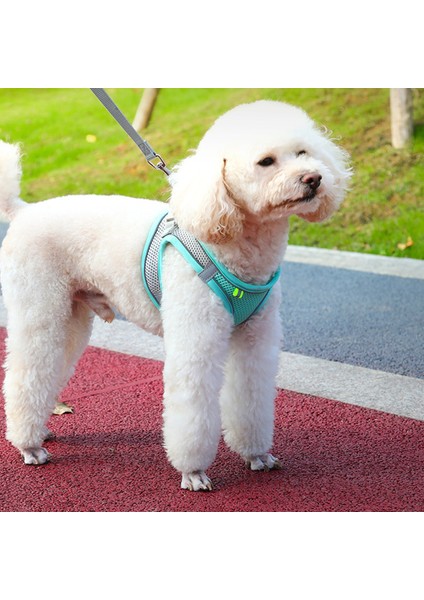 Pet Göğüs Kayışı Nefes Alabilir Break Serbest Yansıtıcı Yürüyüş Köpek Çekişleri Köpek Malzemeleri (Yurt Dışından) modelleri