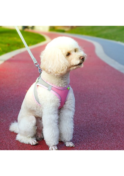 Pet Göğüs Kayışı Nefes Alabilir Break Serbest Yansıtıcı Yürüyüş Köpek Çekişleri Köpek Malzemeleri (Yurt Dışından) fiyatları