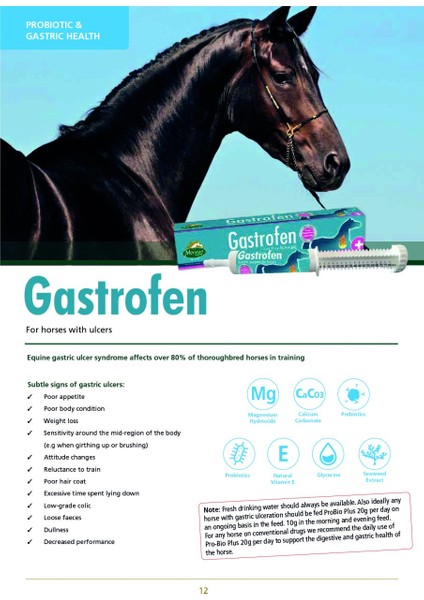 Gastrofen Paste 80 Ml.