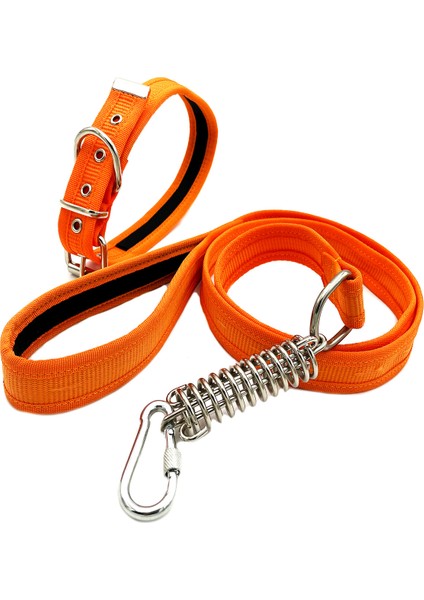 Turuncu Köpek Tasması ve Köpek Gezdirme Seti