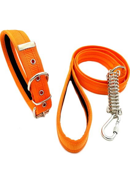 Turuncu Köpek Tasması ve Köpek Gezdirme Seti fiyatları