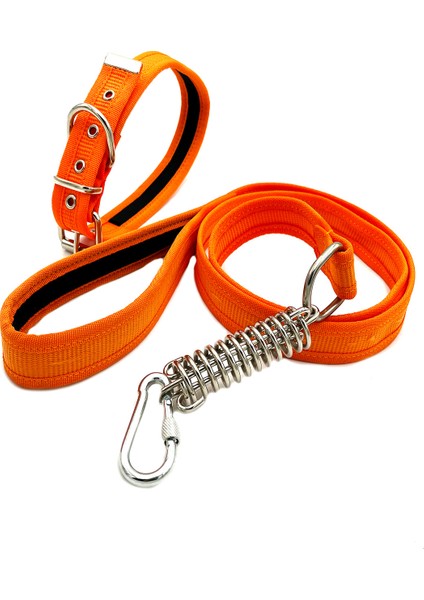Turuncu Köpek Tasması ve Köpek Gezdirme Seti modelleri