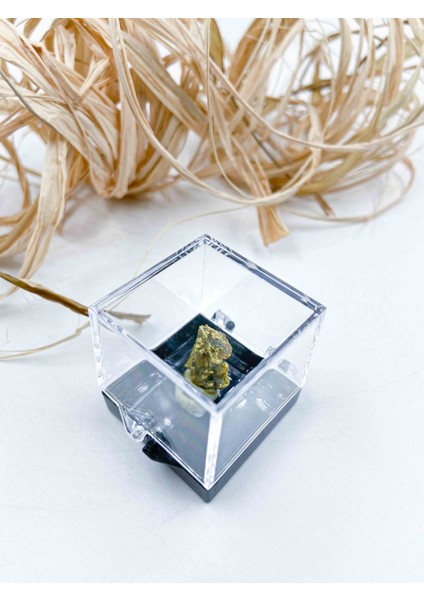 Gold Kalko Pirit Taşı Parça Kutulu Ebat 3 cm