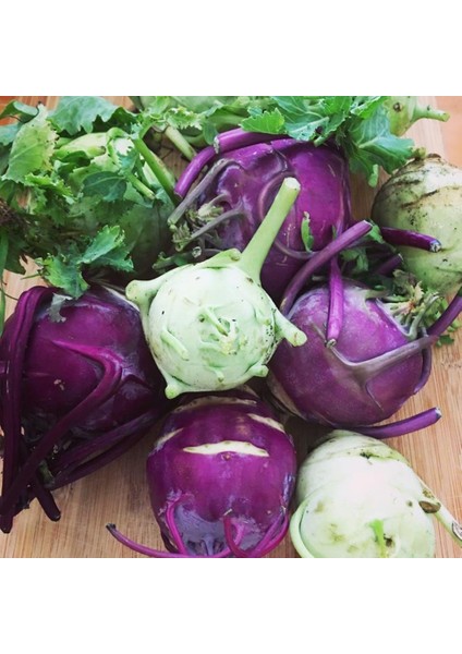Mor Alabaş Kohlrabi Tohumu (20 Tohum)
