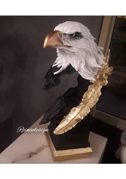 Dekorati̇f Kartal / Karakartal/beşi̇ktaş Kartal Bi̇blosu
