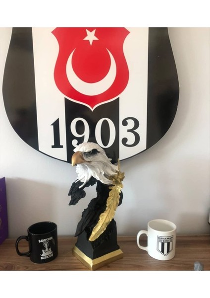 Dekorati̇f Kartal / Karakartal/beşi̇ktaş Kartal Bi̇blosu