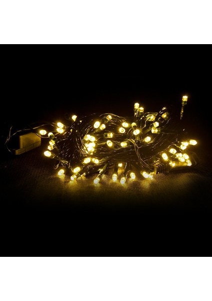 Yılbaşı Gün Işığı 10M 100 LED Işık
