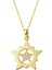 Yıldızlar Içinde Yıldız Altın Kolye 1