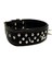 Siyah Çivili Yumuşak Dokulu Deri Köpek Tasması Köpek Boyun Tasması 2