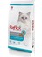 Balıklı Kısırlaştırılmış Kedi Maması 15 kg 1