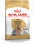 Yorkshire Terrier Adult 1,5 kg 1
