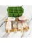 Silikon Buz Popsicle Maker 12 Boşluklar Ev Yapımı Popsicle Kalıpları Şekilleri Buz Küp Tepsisi ile Buz Tepsileri WY527 (Yeşil) (Yurt Dışından) 2
