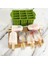 Buz Küpü Tepsi Popsicle Varil Maker Kalıp Aracı Silikon Dondurulmuş Buz Popsicle Maker 12 Kavidiler Dondurma Kalıp Dıy Ev Yapımı Kalıplar (Yeşil) (Yurt Dışından) 3