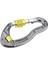25KN Vida Kilitleme Kaya Tırmanışı Ağacı Oyma Alüminyum Karabina / Karabiner Gümüş Sarı (Yurt Dışından) 1
