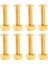 8 Longboard Kaykay Kamyon Tekerlek Onarım Donanım Vidaları Seti Altın (Yurt Dışından) 2
