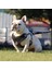 Göğüs Kayışı Yansıtıcı Patlama Geçirmez Polyester Evcil Köpek Çekiş Ipi Yürüme Için (Yurt Dışından) 5