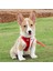 Oufeitongh Pet Göğüs Kayışları Renk Blok Kaçış Geçirmez Dış Mekan Kablo Demeti Çekiş Ipi Tasma Kedi Köpek Sarf Malzemeleri Yürüyüş Için (Yurt Dışından) 5