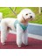 Pet Göğüs Kayışı Nefes Alabilir Break Serbest Yansıtıcı Yürüyüş Köpek Çekişleri Köpek Malzemeleri (Yurt Dışından) 3
