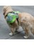 Shop Sırt Çantasından Köpekler Için Kendinden Taşınabilir Sırt Çantası Nefes Alabilen Örgü Çantası, Özellikler: L (Yurt Dışından) 3