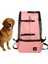 Shop Havalandırılmış ve Nefes Alabilir Yıkanabilir Pet Taşınabilir Sırt Çantası, Boyut: M (Yurt Dışından) 3