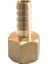 Sarı Pirinç Dişi Hortum Rakoru 1/4" x 10MM 1
